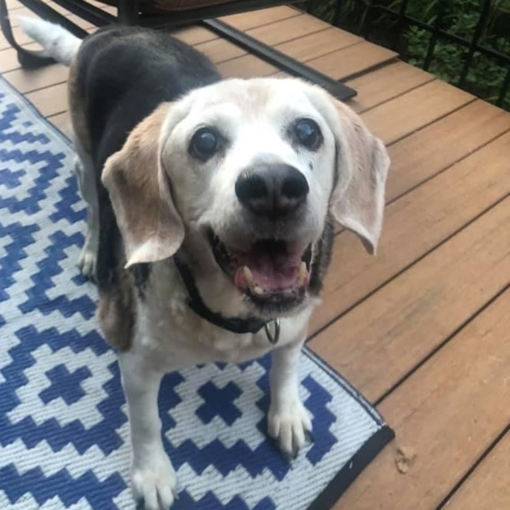 Meet your Posher, Cathy